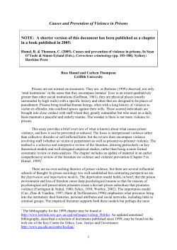 Causes and prevention of violence in prisons