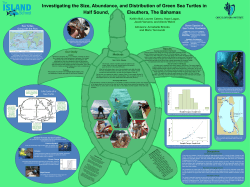 PDF - Fisheries Conservation Foundation