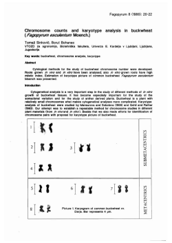 as a PDF