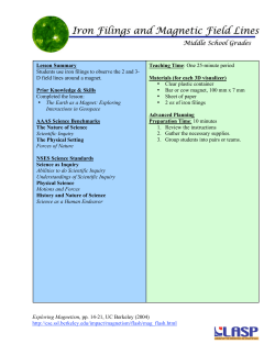 Iron Filings and Magnetic Field Lines