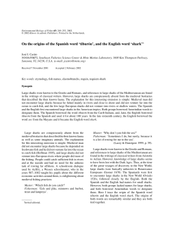 On the origins of the Spanish word `tibur&oacute;n`, and the English word