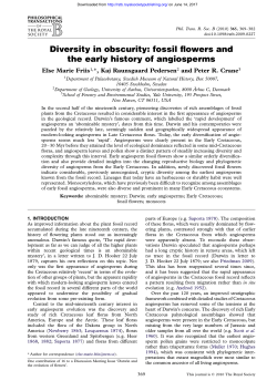 Diversity in obscurity: fossil flowers and the early history of