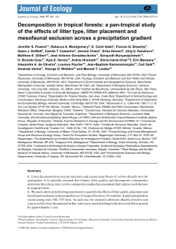 Decomposition in tropical forests: a pan