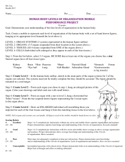 Levels of Organization Project