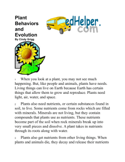 Plant Behaviors and Evolution
