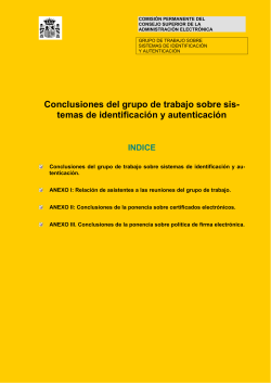Conclusiones del grupo de trabajo sobre sis