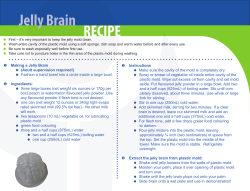 Jelly Brain Mold instructions Page 2 (Demonstration)