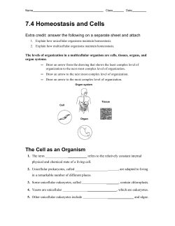 7.4 worksheet - Southgate Community School District