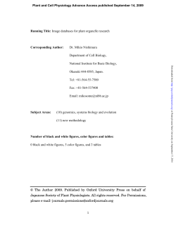 Seeing Is Believing: On the Use of Image Databases for Visually