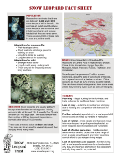 snow leopard fact sheet