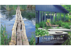 On reflection - Luc Engelhard
