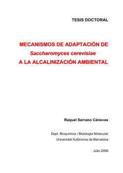 Mecanismos de adaptaci&oacute;n de Saccharaomyces cerevisiae