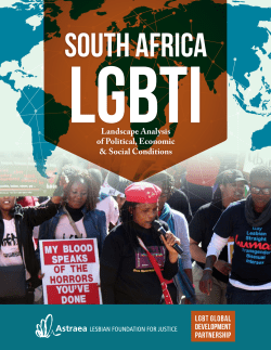South Africa LGBTI: Landscape Analysis of Political, Economic