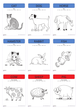 cat dog horse hamster rabbit fish cow sheep pig - Librairie