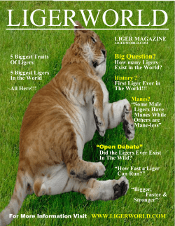 liger magazine ligerworld