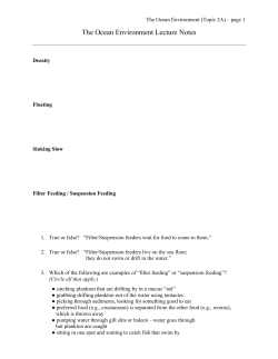The Ocean Environment Lecture Notes