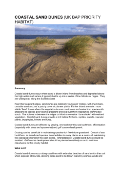 coastal sand dunes (uk bap priority habitat)