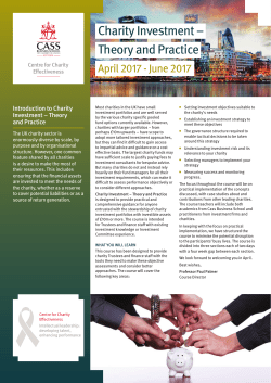 Charity Investment &ndash; Theory and Practice