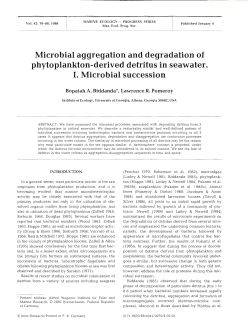 Microbial aggregation and degradation of phytoplankton