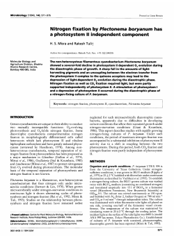 Nitrogen fixation by Plectonema boryanum has a