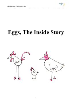 Eggs, The Inside Story