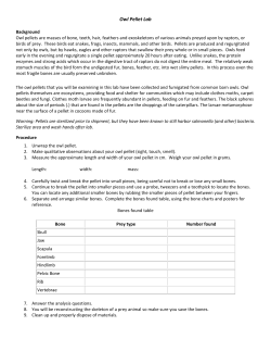 Owl Pellet Lab - davis.k12.ut.us