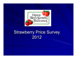 2003 Strawberry Price Survey