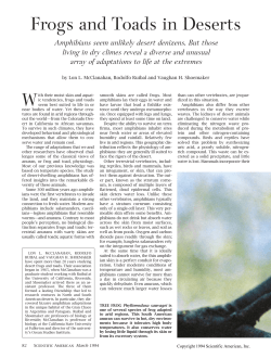 Frogs and Toads in Deserts