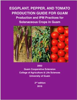 eggplant, pepper, and tomato production guide for guam