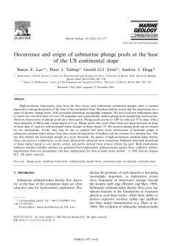 Occurrence and origin of submarine plunge pools at the base of the