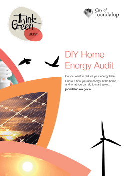 DIY Home Energy Audit