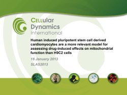 iCell Cardiomyocytes