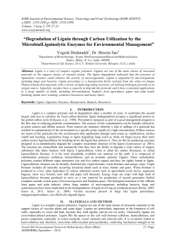 “Degradation of Lignin through Carbon Utilization by the