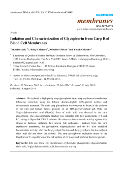 Isolation and Characterization of Glycophorin from Carp Red Blood