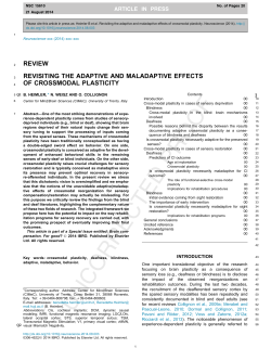 Revisiting the adaptive and maladaptive effects of crossmodal