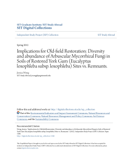 Implications for Old-field Restoration: Diversity and abundance of