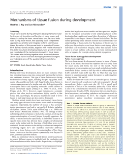 Mechanisms of tissue fusion during development