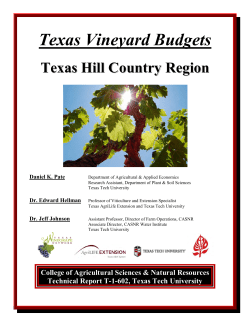 Texas Vineyard Budgets - Texas Winegrapes Network