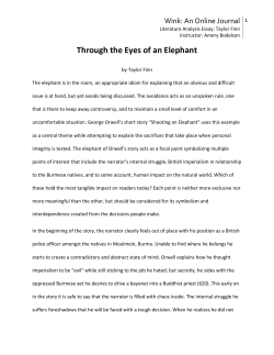 Through the Eyes of an Elephant