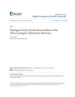 Etiological study of molt abnormalities in the African penguin