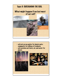 Topic 5: SUSTAINING THE SOIL What might happen if we lost most