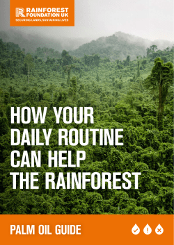 palm oil guide - Rainforest Foundation UK