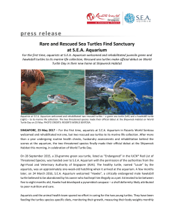 press release - Resorts World Sentosa