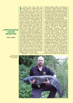 2 APPEARANCES CAN BE DECEPTIVE