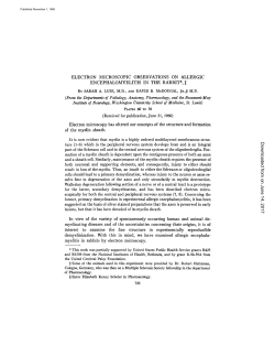 ELECTRON MICROSCOPIC OBSERVATIONS ON ALLERGIC