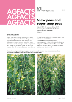 snow peas and sugar snap peas - NSW Department of Primary