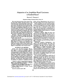 Adaptation of an Amphibian Renal Carcinoma in