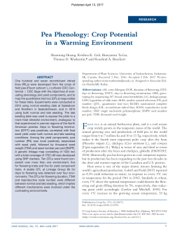 Pea Phenology: Crop Potential in a Warming Environment
