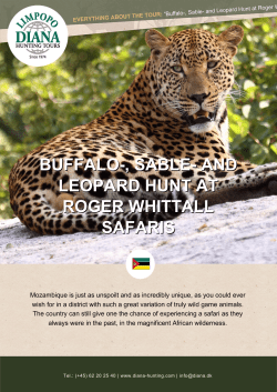 Buffalo-, Sable- and Leopard Hunt at Roger Whittall Safaris