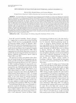 DEW-DRINKING BY MALE MONARCH